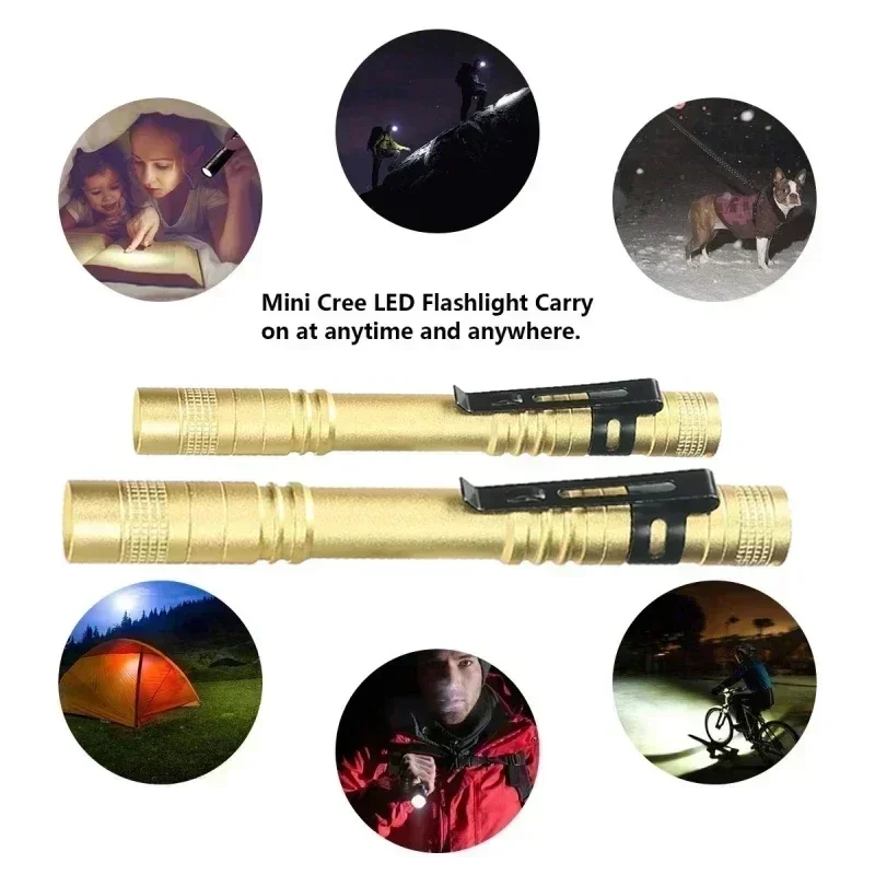 Mini Portable LED Pen Light wi - Outdoor Lighting Unit 评论和价格