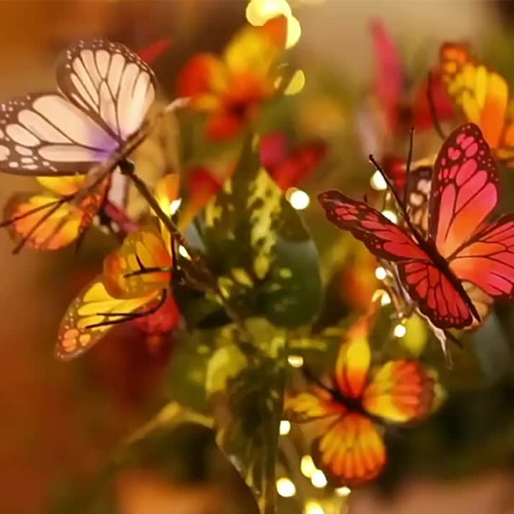 Solar Outdoor Lights Butterfly - Solar Path Light 评论和价格