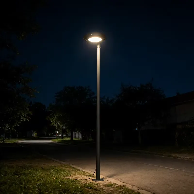 LED Garden Lamp with Steel Pol - Outdoor Lighting The Range 评论和价格