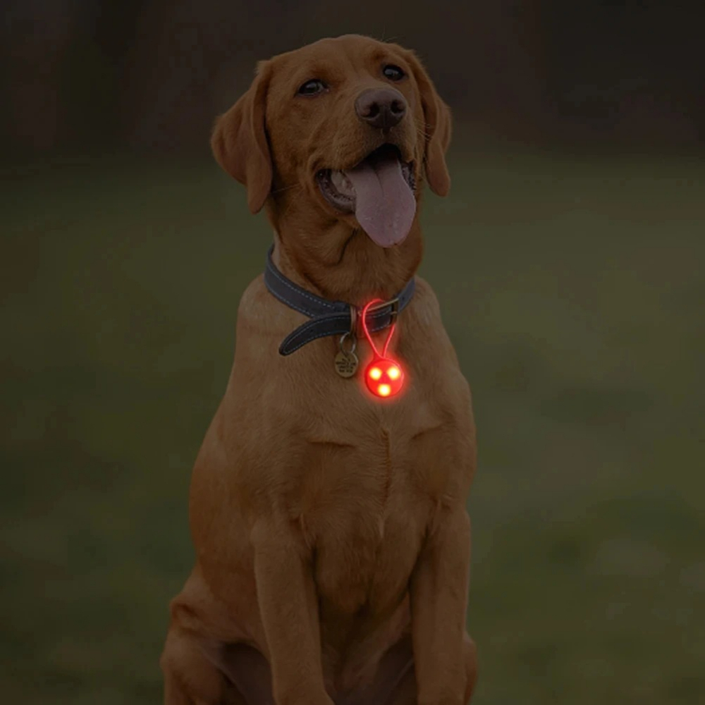 Outdoor Backpack Lights Silico - Outdoor Lighting Strip 评论和价格