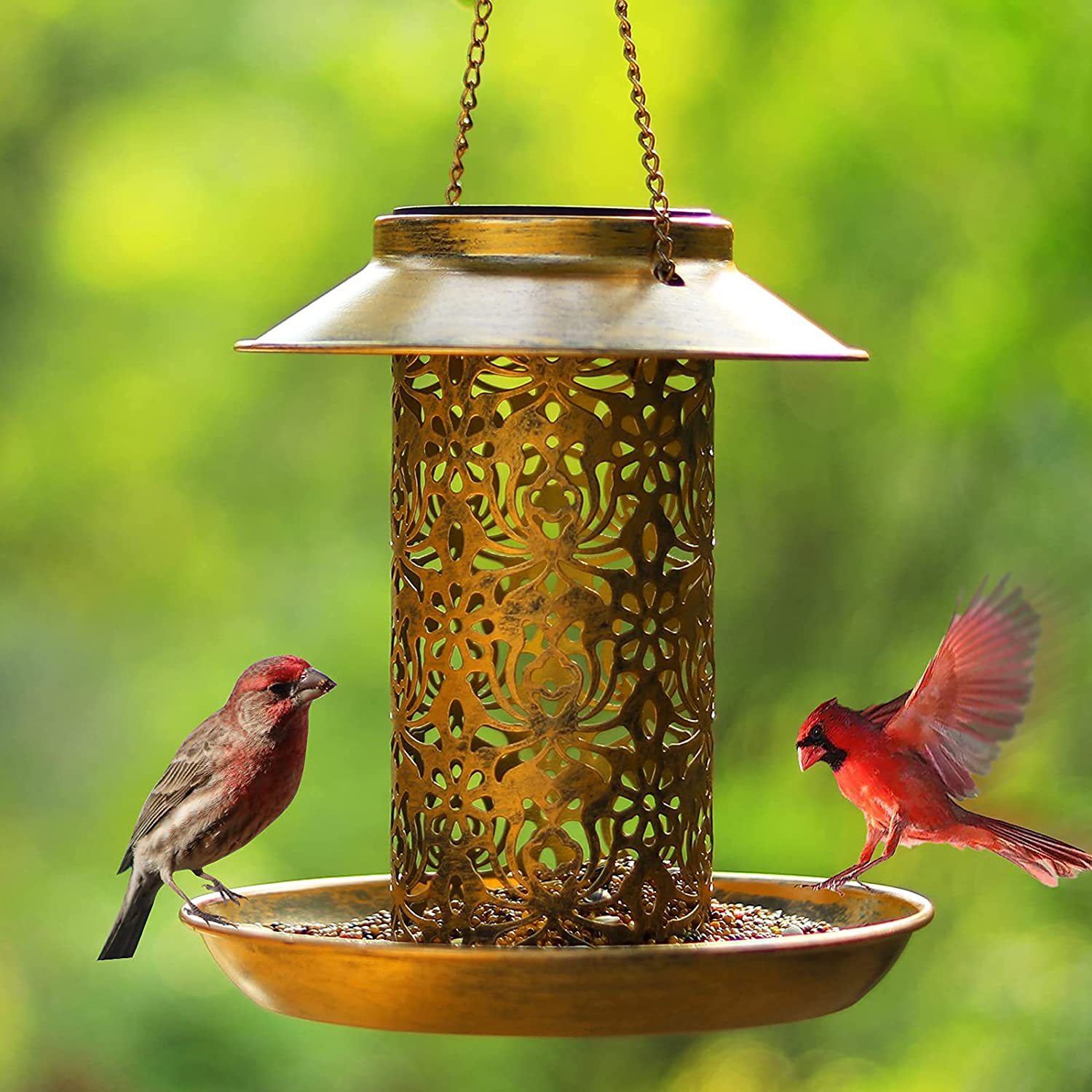 Hanging Bird House Metal Outdo - Outdoor Lighting Ideas For House 评论和价格