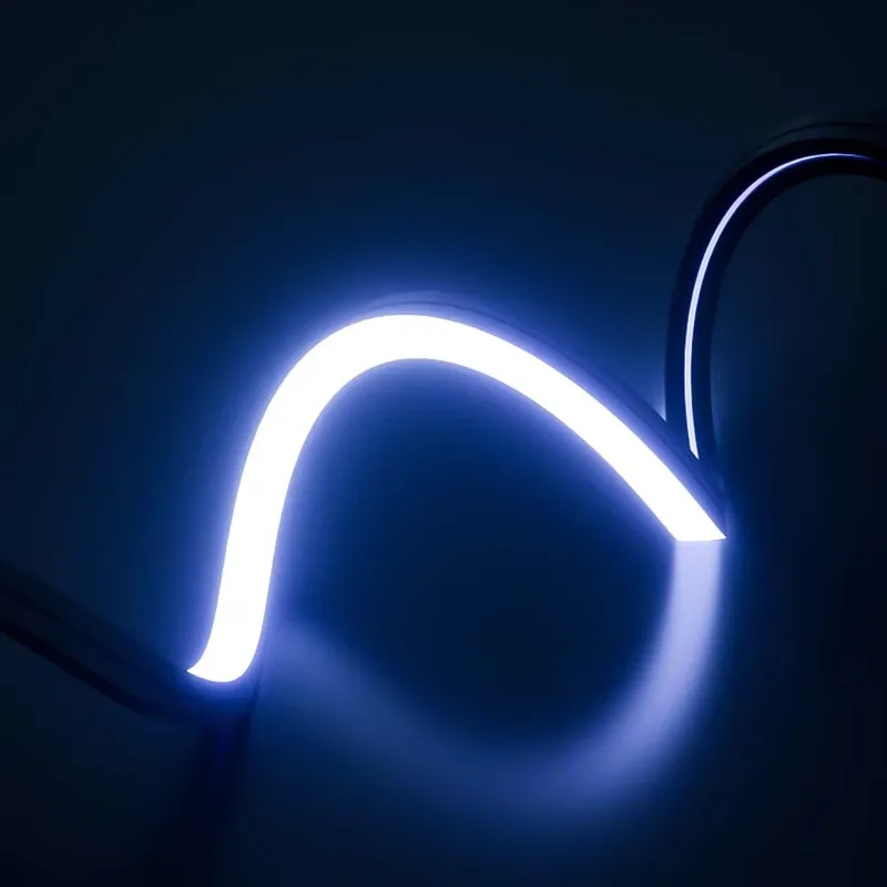 PERFECT Dream Color Led Neon S - Outdoor Lighting Strip 评论和价格